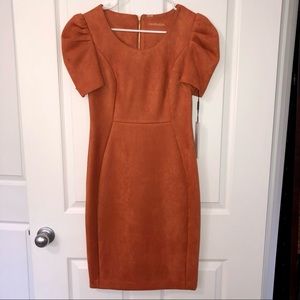 ***SOLD/ No Longer Available*** NWT Calvin Klein Dress Size 4 Rust Color